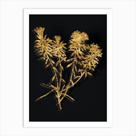 Vintage Garland Flowers Botanical in Gold on Black n.0351 Art Print