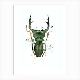 Green Deer Beetle Art Print