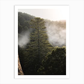 Mystical Sintra Foggy Forest Escape Art Print