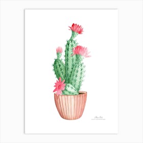 Aloe vera plant. Green plant. Beautiful plant. Thorns plant. Aloe vera flowers.7 Art Print