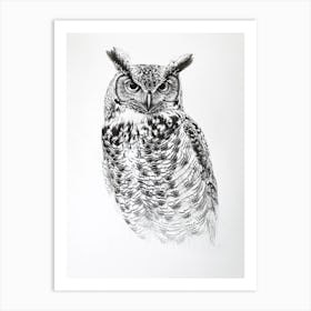 Boreal Owl Marker Drawing 4 Art Print