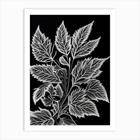 Calamint Leaf Linocut 3 Art Print