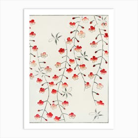 Cherry Blossom Illustration, Shin Bijutsukai Art Print