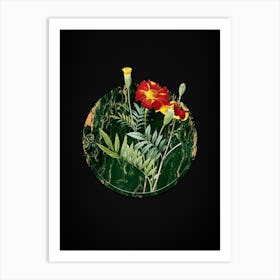 Vintage Mexican Marigold Botanical in Gilded Marble on Shadowy Black n.0022 Art Print