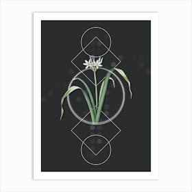 Vintage Small Flowered Pancratium Botanical with Geometric Line Motif and Dot Pattern Art Print