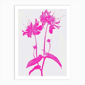 Hot Pink Bee Balm 1 Art Print