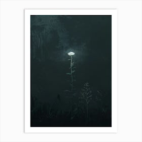 Dark Flower 14 Art Print