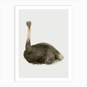 Ostrich Art Print