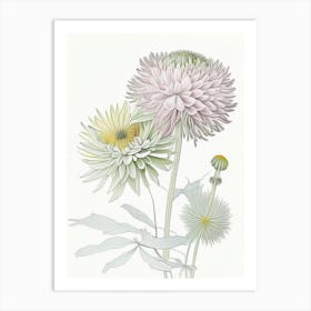 Chrysanthemum Floral Quentin Blake Inspired Illustration 2 Flower Art Print