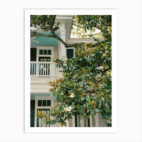 Charleston Magnolia Tree on Film Art Print