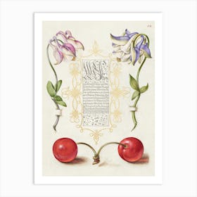 European Columbines And Sweet Cherry From Mira Calligraphiae Monumenta, Joris Hoefnagel Art Print