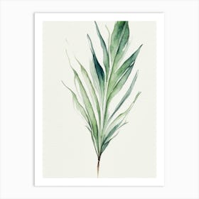 Yucca Leaf Minimalist Watercolour 5 Art Print