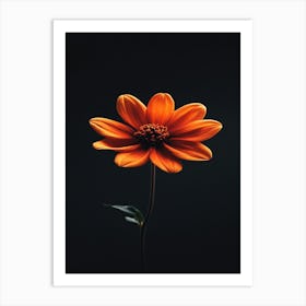 Orange Dahlia Flower Art Print