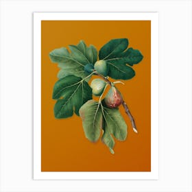 Vintage Common Fig Botanical on Sunset Orange n.0591 Art Print