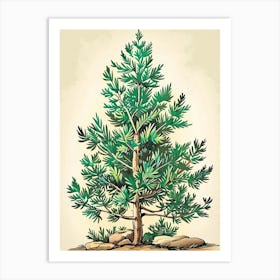 Balsam Tree Storybook Illustration 3 Art Print