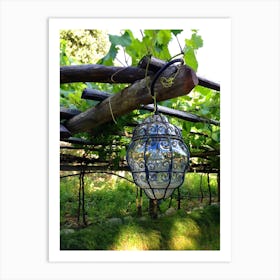 Glass Lantern Hanging From Vines Art Print