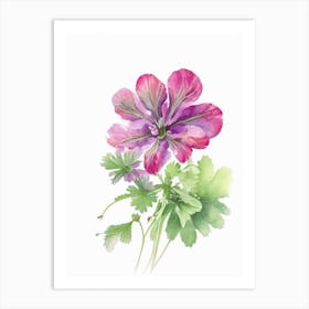 Wild Geranium Wildflower Watercolour 1 Art Print