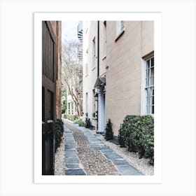 Cobblestone Art Print