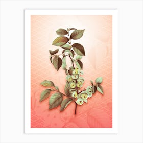 Field Elm Vintage Botanical in Peach Fuzz Hishi Diamond Pattern n.0133 Art Print