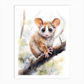 Light Watercolor Painting Of A Ringtail Possum 3 Art Print