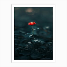 Single Red Rose 21 Art Print