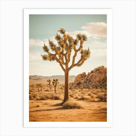 Photograph Of A Joshua Tree In Rocky Landscape 3 Art Print