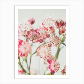 Nostalgic spring and summer flowers in pink and white - nature stillife photography by Christa Stroo Photography Art Print