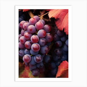 Autumn Grapes Art Print