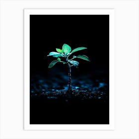 Green Plant In The Dark 1 Art Print