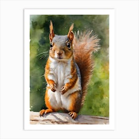 Central American Dwarf Squirrel Art Print