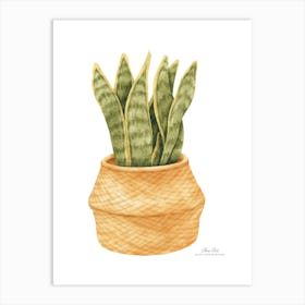 Aloe vera plant. Green plant. Beautiful plant. Thorns plant. Aloe vera flowers.24 Art Print