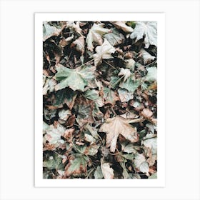 Autumn Leaves 2 Art Print