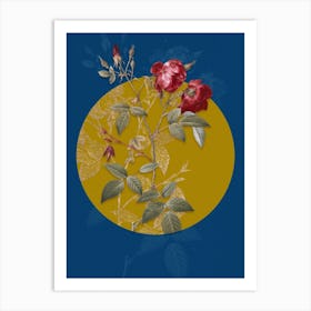 Vintage Botanical Velvet China Rose on Circle Yellow on Blue Art Print