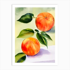 Grapefruit 2 Italian Watercolour fruit Art Print