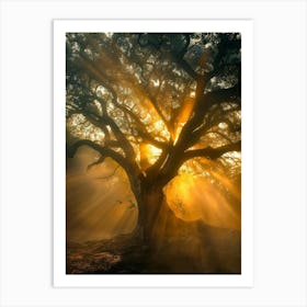 Tree Of Life 19 Art Print