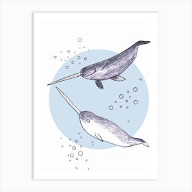 Narwhales Art Print