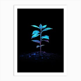 Plant Growing In The Dark 16 Art Print