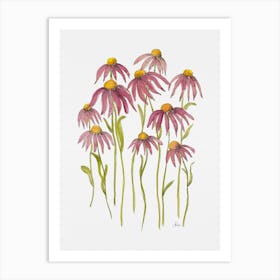 Echinacea Art Print