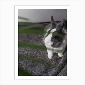 Rabbit In The Room Art Print