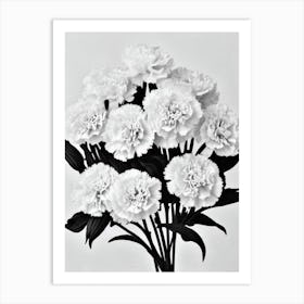 Carnations B&W Pencil 6 Flower Art Print