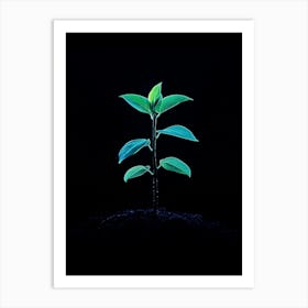 Small Green Plant On Black Background 17 Art Print