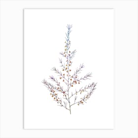 Stained Glass Sea Asparagus Mosaic Botanical Illustration on White Art Print