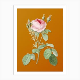 Vintage Double Moss Rose Botanical on Sunset Orange n.0387 Art Print