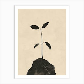 Plant On A Rock Art Print