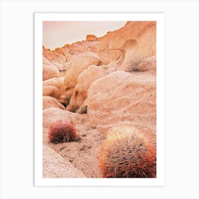 Warm Desert Barrel Cactus Art Print