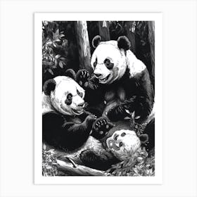 Giant Panda Playing Together In A Forest Ink Illustration 1 Art Print