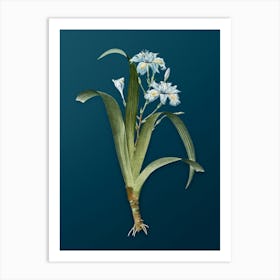 Vintage Iris Fimbriata Botanical Art on Teal Blue n.0199 Art Print