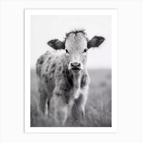 Calf In The Field Art Print