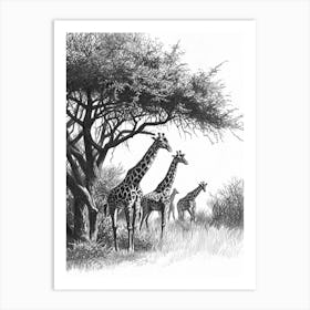 Herd Of Giraffe By The Tree 6 Art Print