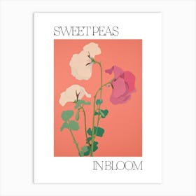 Sweet Peas In Bloom Flowers Bold Illustration 2 Art Print